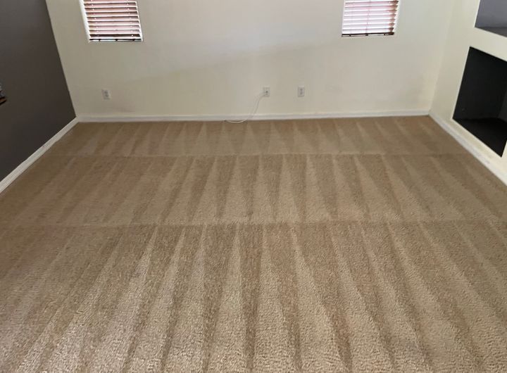We are your local Carpet Cleaners Call Us Today!  (480) 968-0849