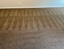 We are your local Carpet Cleaners Call Us Today!  (480) 968-0849