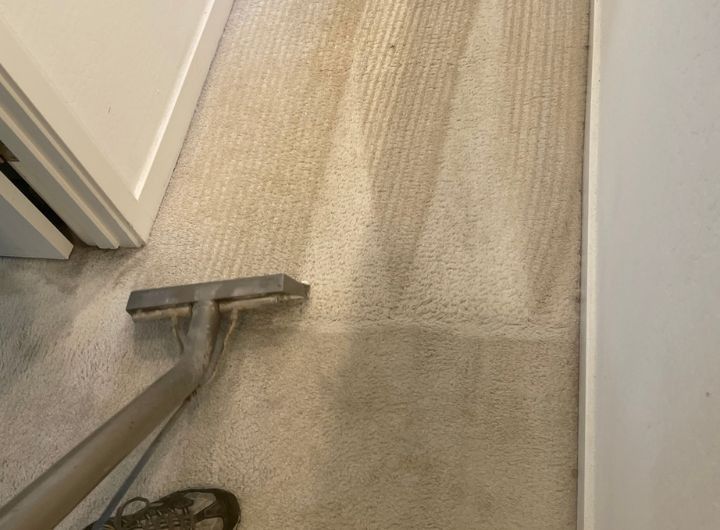 We are your local Carpet Cleaners Call Us Today!  (480) 968-0849 We are your local Carpet Cleaners Call Us Today!  (480) 968-0849