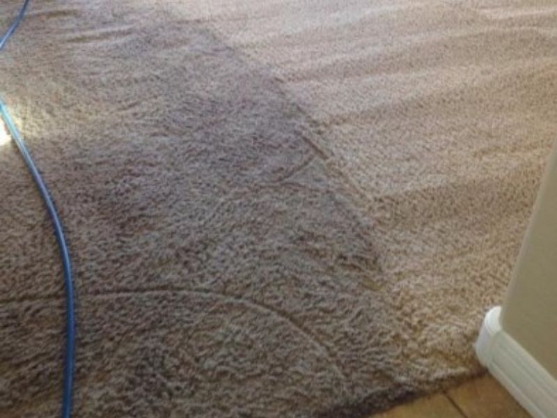 carpet cleaners carpet cleaning carpet cleaners carpet cleaning