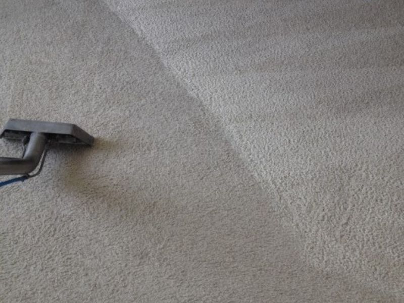 carpet cleaners carpet cleaning queen creek carpet cleaners carpet cleaning queen creek