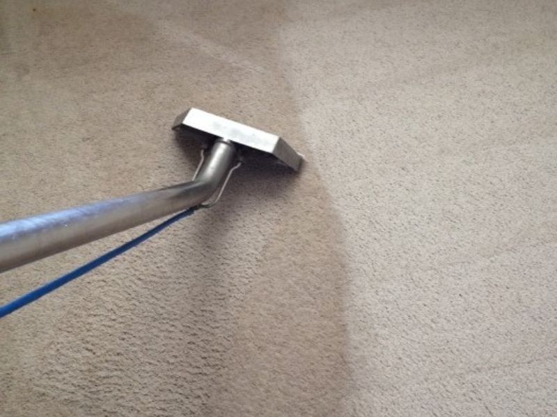 carpet cleaners carpet cleaning san tan valley