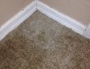 Carpet Repair Services