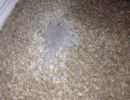 Carpet Repair Services