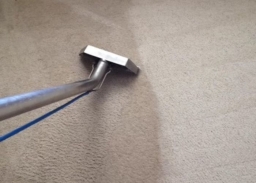 Carpet-Cleaners-In-Gilbert-Arizona--1