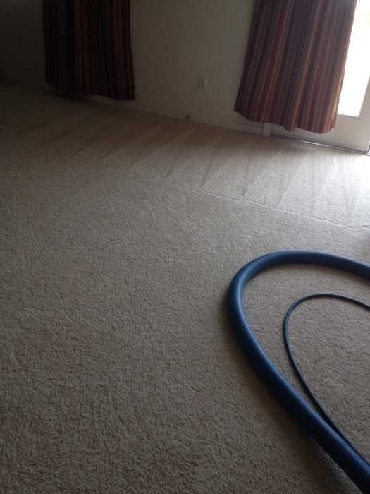 San-Tan-Valley-Carpet-Cleaners-AZ--6