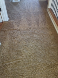Queen-Creek-Carpet-Cleaners-01-10